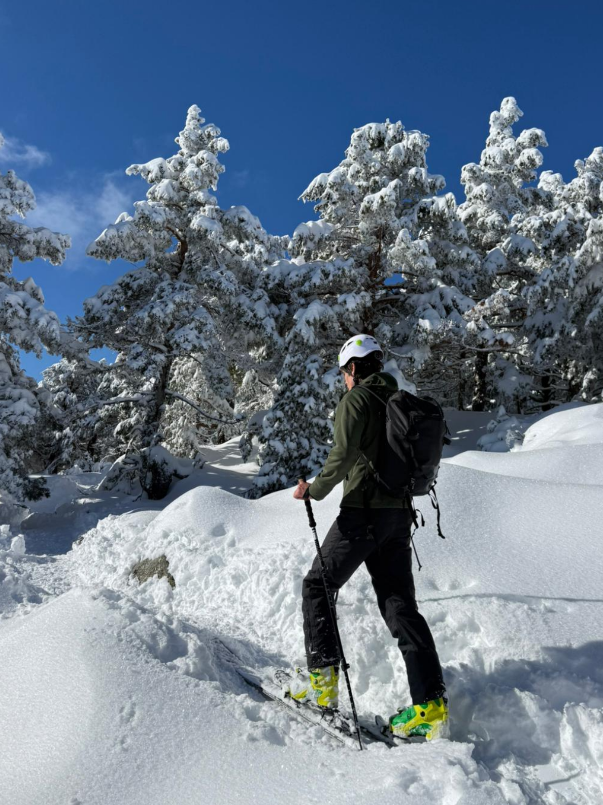Softshelljacke mit Kapuze